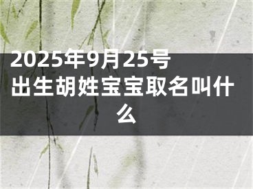 2025年9月25号出生胡姓宝宝取名叫什么