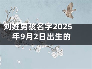 刘姓男孩名字2025年9月2日出生的