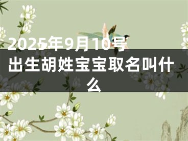 2025年9月10号出生胡姓宝宝取名叫什么