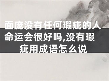 面庞没有任何瑕疵的人命运会很好吗,没有瑕疵用成语怎么说