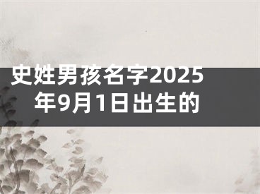 史姓男孩名字2025年9月1日出生的