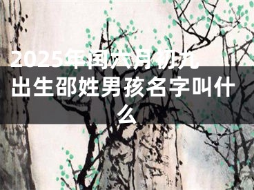 2025年闰六月初九出生邵姓男孩名字叫什么