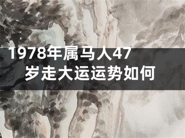 1978年属马人47岁走大运运势如何