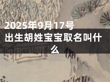 2025年9月17号出生胡姓宝宝取名叫什么