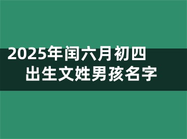 2025年闰六月初四出生文姓男孩名字