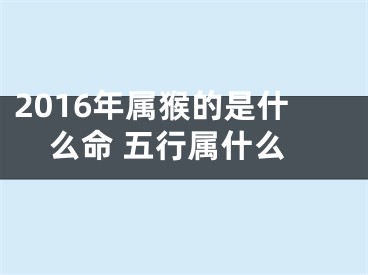 2016年属猴的是什么命 五行属什么