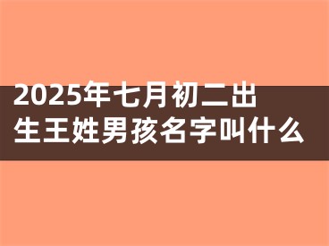 2025年七月初二出生王姓男孩名字叫什么