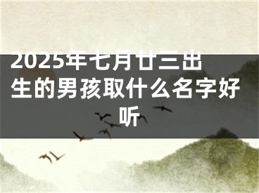 2025年七月廿三出生的男孩取什么名字好听