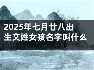 2025年七月廿八出生文姓女孩名字叫什么