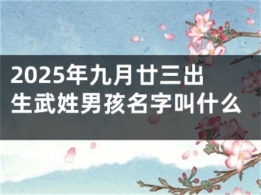 2025年九月廿三出生武姓男孩名字叫什么