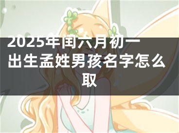 2025年闰六月初一出生孟姓男孩名字怎么取