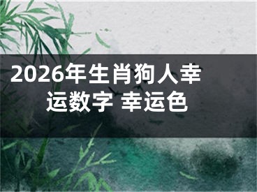 2026年生肖狗人幸运数字 幸运色