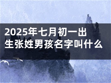 2025年七月初一出生张姓男孩名字叫什么