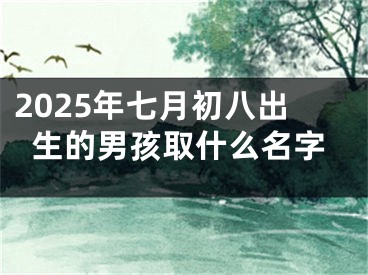2025年七月初八出生的男孩取什么名字