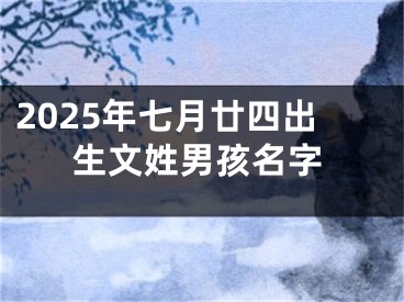 2025年七月廿四出生文姓男孩名字