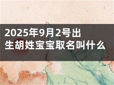 2025年9月2号出生胡姓宝宝取名叫什么