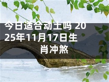 今日适合动土吗 2025年11月17日生肖冲煞