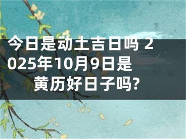 今日是动土吉日吗 2025年10月9日是黄历好日子吗?