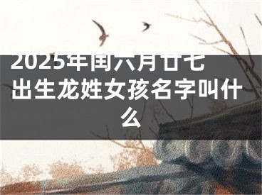 2025年闰六月廿七出生龙姓女孩名字叫什么