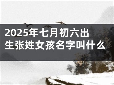 2025年七月初六出生张姓女孩名字叫什么