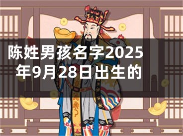 陈姓男孩名字2025年9月28日出生的