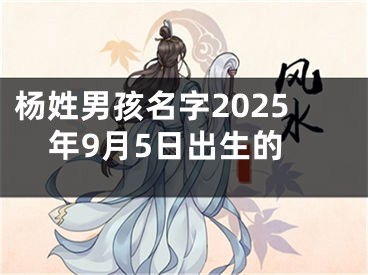 杨姓男孩名字2025年9月5日出生的