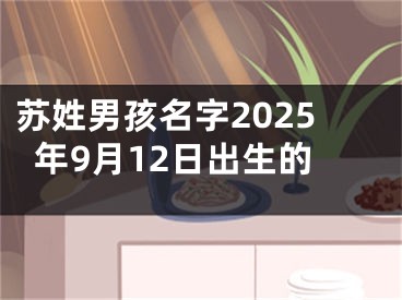 苏姓男孩名字2025年9月12日出生的
