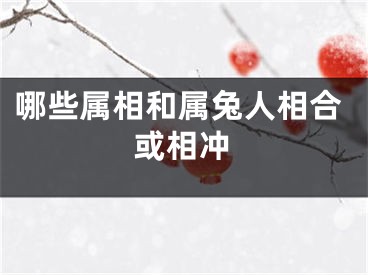 哪些属相和属兔人相合或相冲