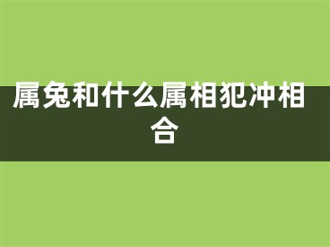 属兔和什么属相犯冲相合