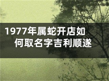 1977年属蛇开店如何取名字吉利顺遂