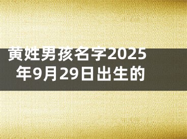 黄姓男孩名字2025年9月29日出生的