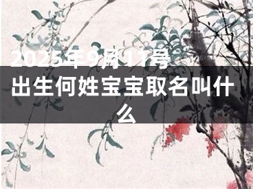 2025年9月11号出生何姓宝宝取名叫什么