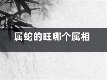 属蛇的旺哪个属相