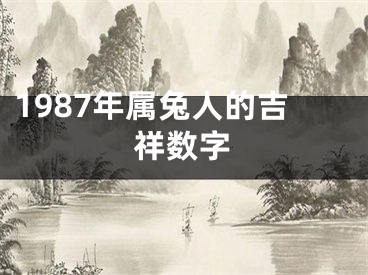 1987年属兔人的吉祥数字