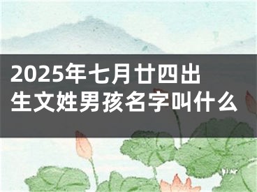 2025年七月廿四出生文姓男孩名字叫什么