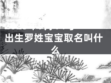 2025年9月14号出生罗姓宝宝取名叫什么
