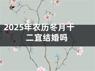 2025年农历冬月十二宜结婚吗