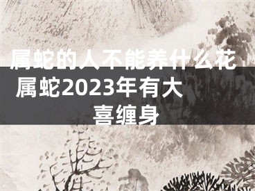 属蛇的人不能养什么花 属蛇2023年有大喜缠身