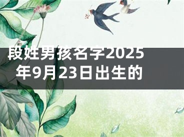 段姓男孩名字2025年9月23日出生的