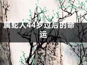 属蛇人44岁过后的命运