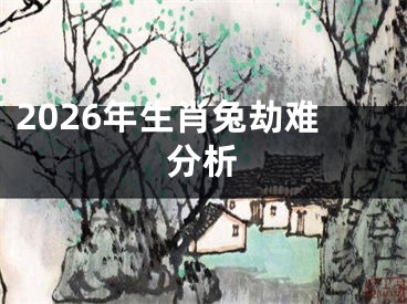 2026年生肖兔劫难分析