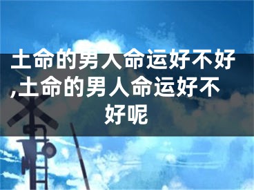 土命的男人命运好不好,土命的男人命运好不好呢