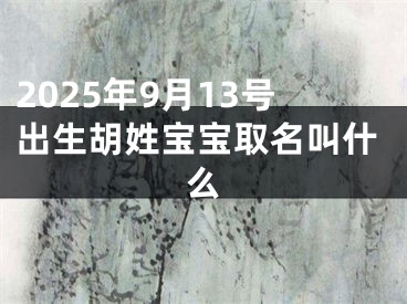 2025年9月13号出生胡姓宝宝取名叫什么