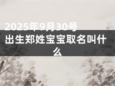 2025年9月30号出生郑姓宝宝取名叫什么