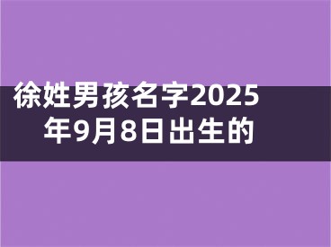 徐姓男孩名字2025年9月8日出生的