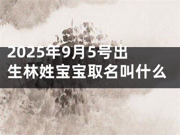 2025年9月5号出生林姓宝宝取名叫什么