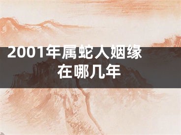 2001年属蛇人姻缘在哪几年