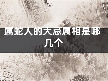 属蛇人的大忌属相是哪几个