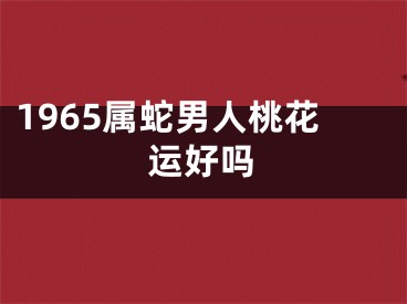 1965属蛇男人桃花运好吗