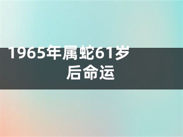 1965年属蛇61岁后命运